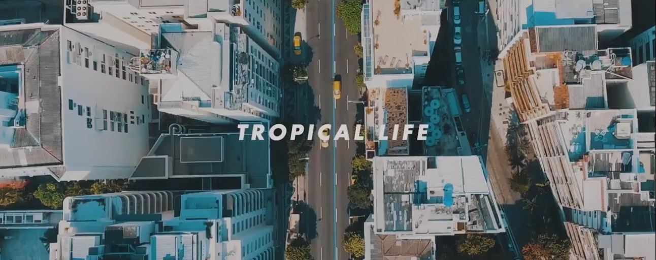 steryo tropical life